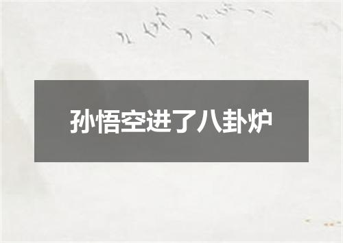 孙悟空进了八卦炉