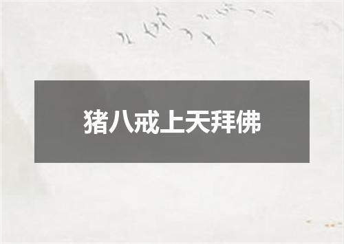 猪八戒上天拜佛