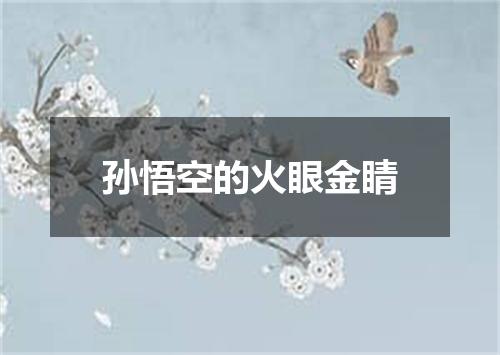 孙悟空的火眼金睛