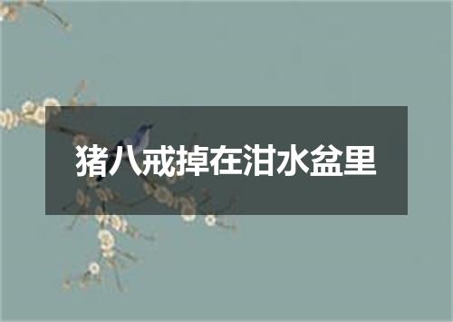 猪八戒掉在泔水盆里
