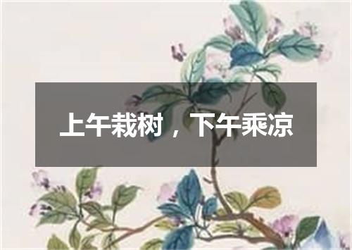 上午栽树，下午乘凉