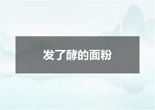 发了酵的面粉