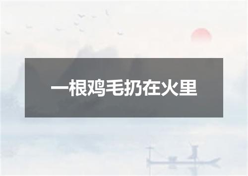 一根鸡毛扔在火里