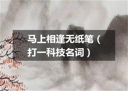 马上相逢无纸笔（打一科技名词）