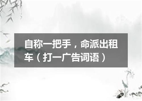 自称一把手，命派出租车（打一广告词语）