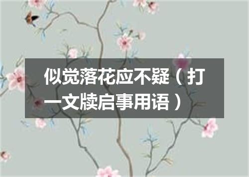 似觉落花应不疑（打一文牍启事用语）