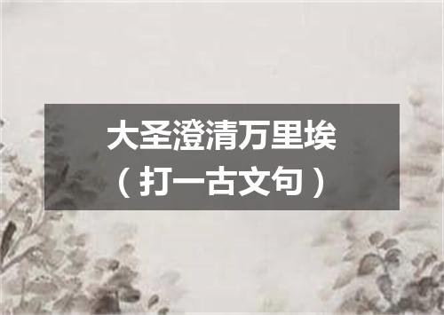 大圣澄清万里埃（打一古文句）