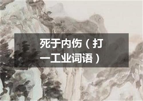 死于内伤（打一工业词语）