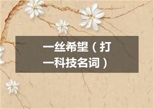 一丝希望（打一科技名词）