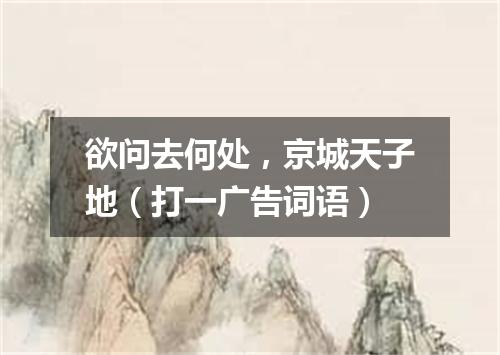 欲问去何处，京城天子地（打一广告词语）