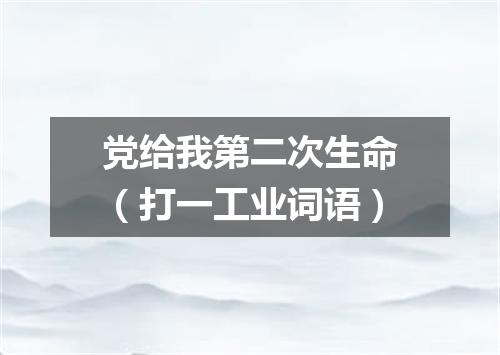 党给我第二次生命（打一工业词语）