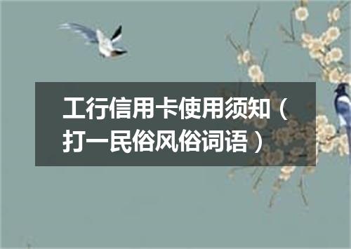 工行信用卡使用须知（打一民俗风俗词语）