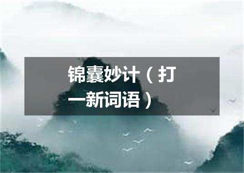 锦囊妙计（打一新词语）