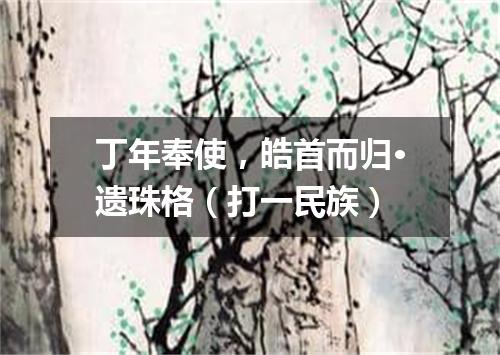 丁年奉使，皓首而归·遗珠格（打一民族）