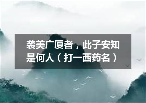 袭美广厦者，此子安知是何人（打一西药名）