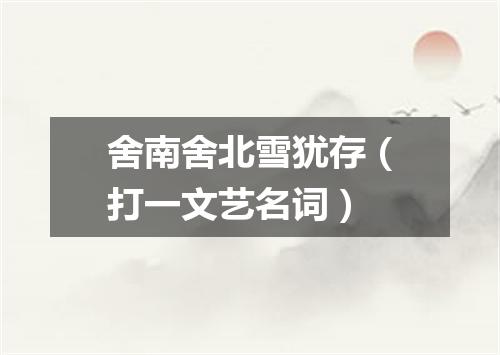 舍南舍北雪犹存（打一文艺名词）