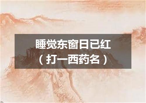 睡觉东窗日已红（打一西药名）