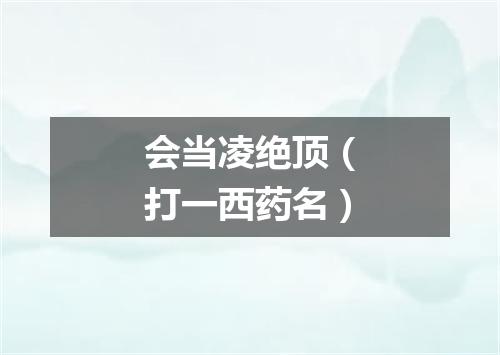 会当凌绝顶（打一西药名）