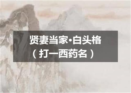 贤妻当家·白头格（打一西药名）