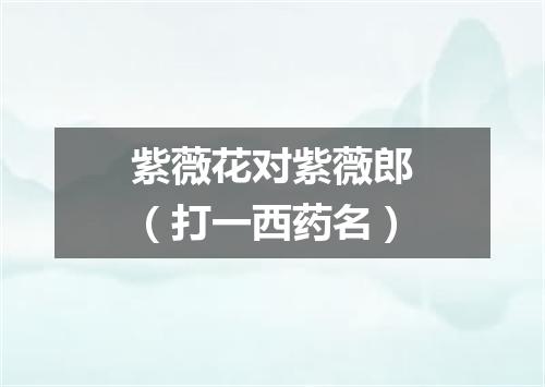 紫薇花对紫薇郎（打一西药名）