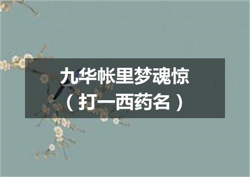 九华帐里梦魂惊（打一西药名）