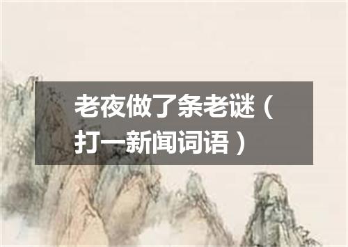 老夜做了条老谜（打一新闻词语）