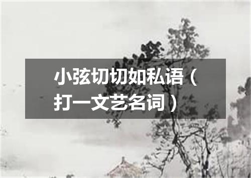 小弦切切如私语（打一文艺名词）