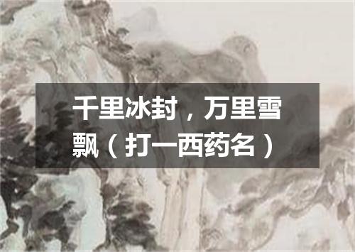 千里冰封，万里雪飘（打一西药名）