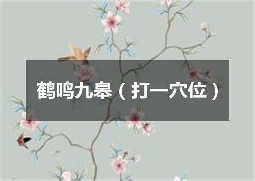 鹤鸣九皋（打一穴位）