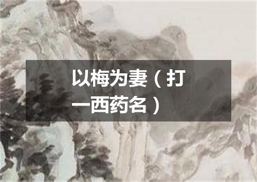 以梅为妻（打一西药名）