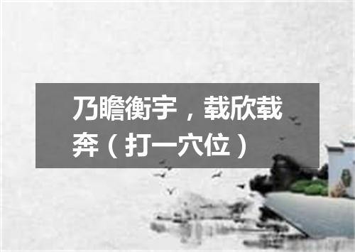 乃瞻衡宇，载欣载奔（打一穴位）