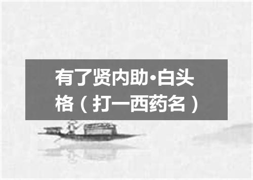 有了贤内助·白头格（打一西药名）