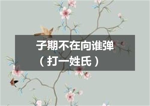 子期不在向谁弹（打一姓氏）