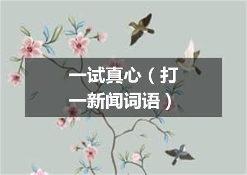 一试真心（打一新闻词语）