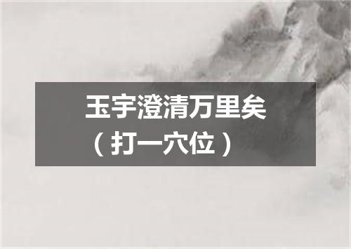 玉宇澄清万里矣（打一穴位）