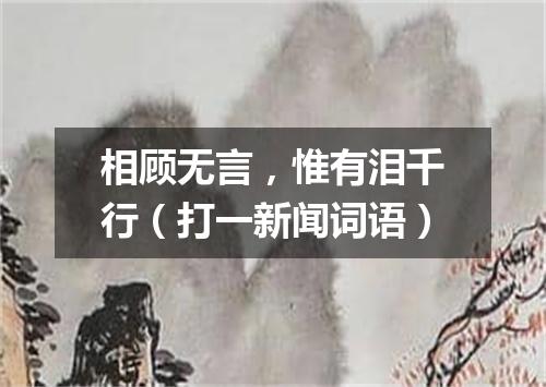 相顾无言，惟有泪千行（打一新闻词语）