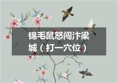 锦毛鼠怒闯汴梁城（打一穴位）