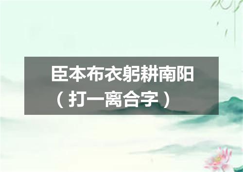 臣本布衣躬耕南阳（打一离合字）