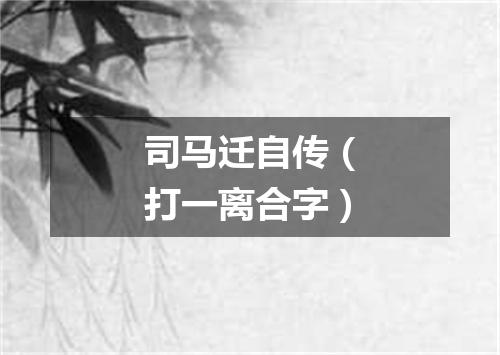 司马迁自传（打一离合字）