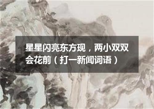 星星闪亮东方现，两小双双会花前（打一新闻词语）