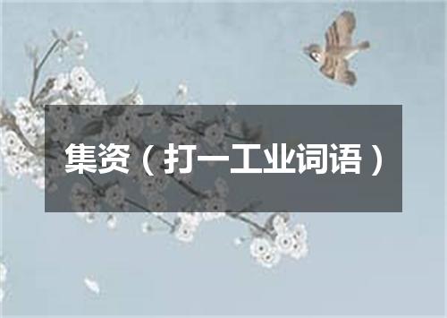 集资（打一工业词语）