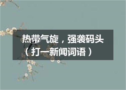 热带气旋，强袭码头（打一新闻词语）