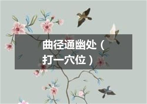 曲径通幽处（打一穴位）
