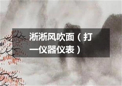 淅淅风吹面（打一仪器仪表）