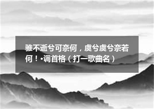 骓不逝兮可奈何，虞兮虞兮奈若何！·调首格（打一歌曲名）