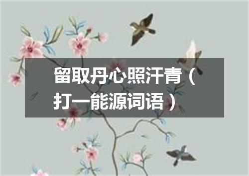 留取丹心照汗青（打一能源词语）