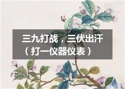 三九打战，三伏出汗（打一仪器仪表）