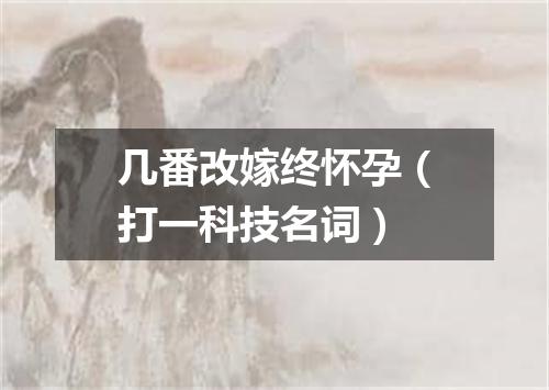 几番改嫁终怀孕（打一科技名词）