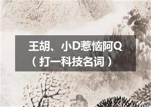 王胡、小D惹恼阿Q（打一科技名词）
