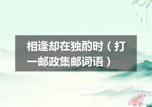 相逢却在独酌时（打一邮政集邮词语）